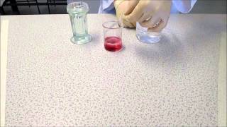 PAS Stain Protocol
