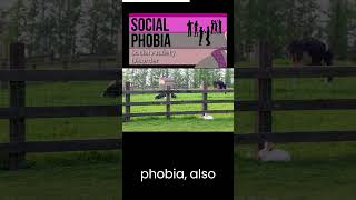 Mysophobia: The Fear That's Taking Over the World - Are You at Risk? #shorts #facts #phobia