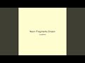 Neon Fragments Dream