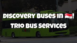 Discovery Buses in Singapore! #56 - Trio Bus Services: 3 in 1 Same Terminus