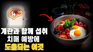 치매예방에 도움이 되는 계란