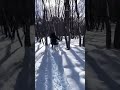 【犬okのコテージ】雪景色のエンゼルフォレスト那須白河 福島 dogs friendly cottage in japan snowy angel forest nasu shirakawa