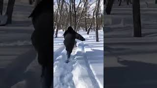 【犬OKのコテージ】雪景色のエンゼルフォレスト那須白河 (福島)| Dogs friendly cottage in Japan - Snowy Angel Forest Nasu Shirakawa