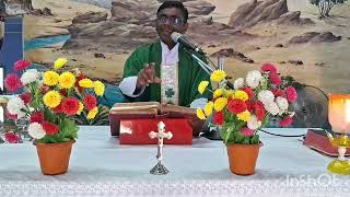 ஏழை கைம்பெண்களின் காணிக்கை-கடவுளுக்கு உகந்தது. fr. Sahaya justin