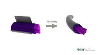 2019 JMR Paper of the Year: High-performance wire-shaped supercapacitor