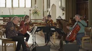 Waltzing Matilda - Bingham String Quartet