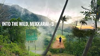 Into The Wild - 3 | Mekkarai | Deep Forest Resort Stay | Trek, Achankovil \u0026 Ambanadu Jeep Safari