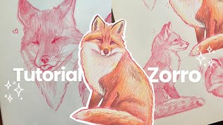 Cómo Dibujar un Zorro 🦊🐾 | Paso a Paso