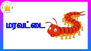 ஐந்து  எழுத்து சொற்கள்  - தமிழரசி |  Learn Five Letter Words in Tamil for Kids \u0026 children Part 2