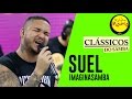 🔴 Clássicos do Samba - Mel na Boca - Suel (Imaginasamba)