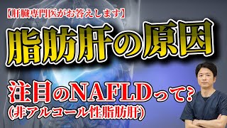 これって脂肪肝!? 異常もないから大丈夫!?  もしかして非アルコール性脂肪肝（NAFLD）かも!! 教えて秋山先生 No157