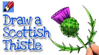 How to draw a Scottish Thistle Real Easy