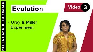 Evolution | NEET | Urey & Miller Experiment | Neela Bakore Tutorials