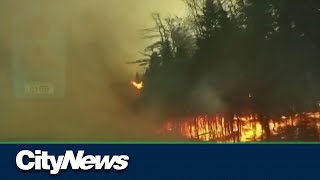 State of Emergency declared in Halifax as wildfire burns out of control