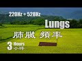 Lungs Frequency (220Hz) + DNA Repair (528Hz) Tibetan Singing Bowls Healing Sounds