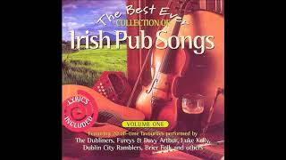 Best Ever Collection Of Irish Pub Songs | 20 Classic Irish Drinking Songs #irishpub