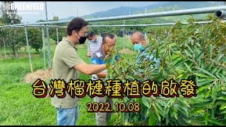 台灣榴槤種植的啟發_20221008