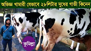 কুমিল্লা কাশেম ডেইরির সেরা গাভীর কালেকশন গ্যারান্টি সহ পাবেন অভিজ্ঞদের পরামর্শ  নিন dairy farm