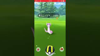 ポケモンＧＯ 色違いミニリュウをカイリューに進化 PokemonGOCommunityDay