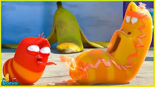 LARVA NEW MOVIES 2025 : TICKLE | FUNNY VIDEO | Mini Series from Animation LARVA By SMTOON TUBA SHOW