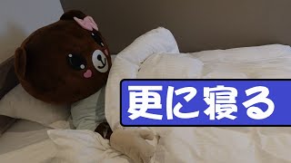 クマの着ぐるみ「はなこ」、ホテルで寝てみる　後編　 I played in a bear costume.