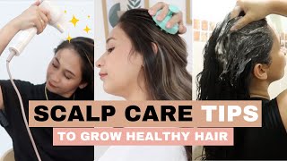 3 SCALP CARE TIPS for fast and healthy hair growth | Lolly Isabel