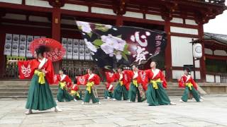 バサラ風流倭尽　心舞　2016バサラ祭り　東大寺会場　奉納演舞