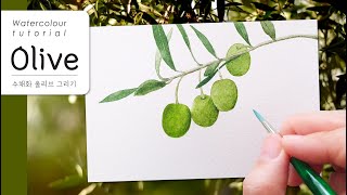 올리브 그리기, 수채화 올리브 트리 / How to paint Olive tree in Watercolour