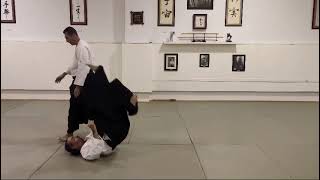 Aikido kisei……. Tesabaki and irimi…..