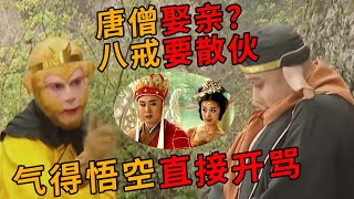 看猴哥这暴脾气 “胆小”八戒关键时刻只会分家《西游记续集》Journey to the West sequel EP5【CCTV电视剧】