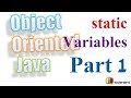 41 Java Static Variables Theory |