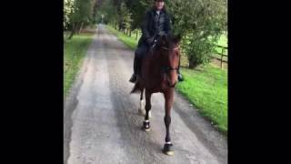 Equetech Trilogy 3 in 1 Horse Riding Jacket