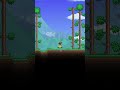 Terraria COOL but DUMB Mods!? Part 2