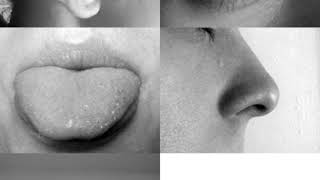 Sense | Wikipedia audio article