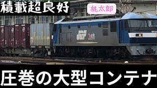 【白昼の貨物列車】大型コンテナずらり 積載満タン 大型連休初日の1050レ EF210-138 20230429