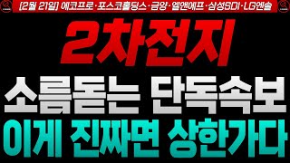 [2차전지] [에코프로 포스코홀딩스 금양 엘앤에프 삼성SDI LG엔솔 주가전망]🔴단독 긴급속보) 트럼프의 난