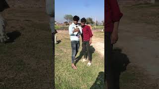 chala didi camera 📸 stat ba ...@ssdteamm #comedy #funnyvideo #trending #viral #shortvideo #funny