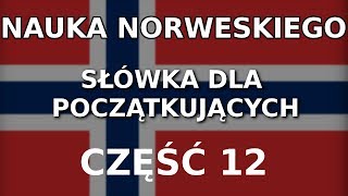 Nauka norweskiego dla początkujących - słówka część 12