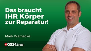 Ernährungsfehler aufgedeckt: Wie Proteine und Aminosäuren Ihre Heilung beschleunigen können | QS24