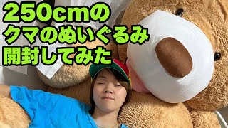 【巨大】250cmのクマのぬいぐるみ開封した🧸