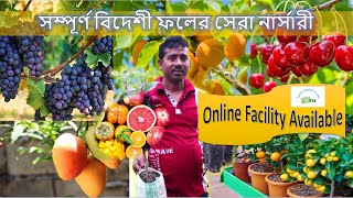 সম্পূর্ণ বিদেশী ফলের সেরা নার্সারী | Online Facility Available | Aamar Shohor O Ami | SusmitaNursery