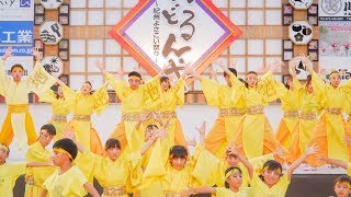 [4K] 合同連 光　おどるんや 紀州よさこい祭り 2019 砂の丸競演場 (中央)