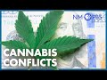 Profiting from New Cannabis Laws | The Line