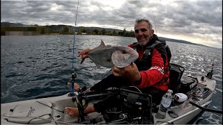 Αναποδη η μερα τελειο το ψαρεμα spinning & jigging ψαρεματα απο το καγιακ