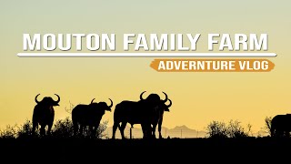 Exploring the Mouton Family Farm | Exploring Leeu- Gamka