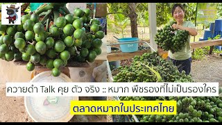 ควายดำ Talk คุย ตัว จริง :: ตลาดหมากในประเทศไทย