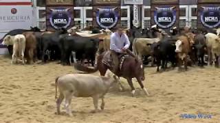 2018 NCHA Open Derby Champion