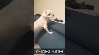 어제 영상 비하인드