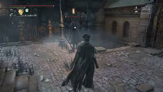 Bloodborne資料映像　ガラ拳＆内臓攻撃の与ダメチェック #2