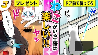 猫を飼う前に！猫との共同生活はこうなります！